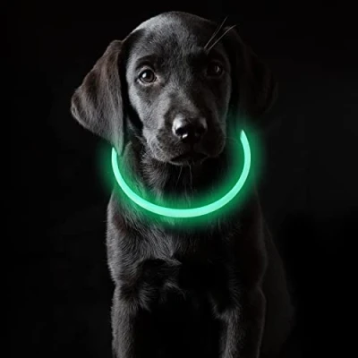 Immagine di Coolzon Collare Luminoso per Cani USB Ricaricabile, Cane Impermeabile con 3 Modalità Di Luce, Regolabile LED Gatti Taglia Piccola Media Grande,Verde