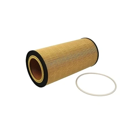Immagine di Filtro dell&#039;olio HENGST FILTER E43H D213
