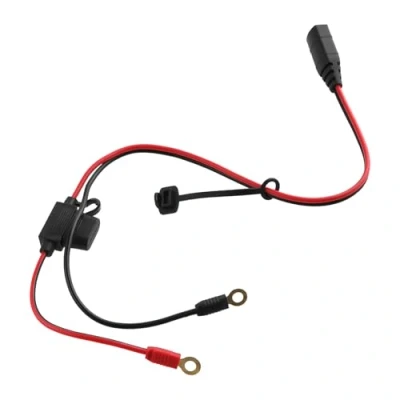 Immagine di the Lord of Tools Cavo di prolunga per caricabatterie intelligente X Connect a M6 con occhiello compatibile NOCO GC002