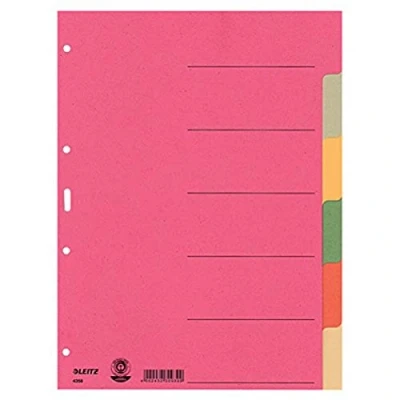 Immagine di Leitz 43580000 Divisore DIN A4 blank Cartone Multicolore 6 schede
