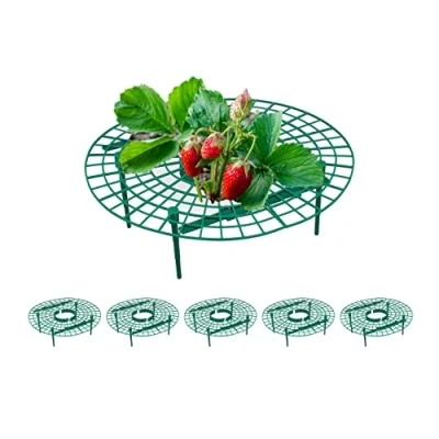 Immagine di Relaxdays Set da 6 Anelli di Supporto per Fragole, Sostegno in Plastica Piante Orto, Rete Anti Muffa, Verde