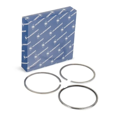Immagine di KOLBENSCHMIDT 800116210000 Kit Fasce Elastiche 81 VOLVO: V70 2