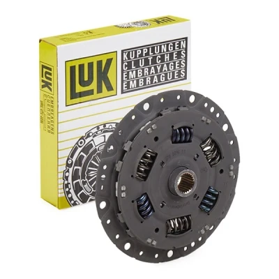 Immagine di LuK 370 0096 10 Ammortizzatore torsionale, Volano AUDI: A4 B6/B7 Cabrio