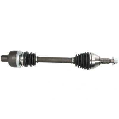 Immagine di Albero motore/Semiasse PASCAL G2X095PC