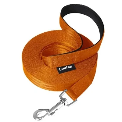 Immagine di Loutep guinzaglio da addestramento per cani 3 m, 5 10 15 20 25 30 corda in nylon resistente, extra lungo con manico imbottito, richiamo cuccioli di taglia grande,