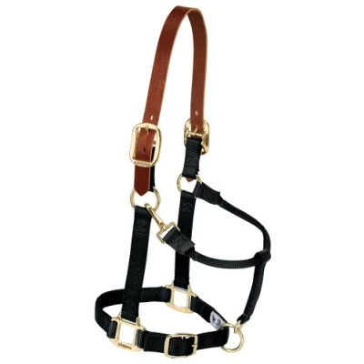 Immagine di Weaver Cavezza per Cavallo Regolabile in Pelle, Misura Grande, Colore: Nero