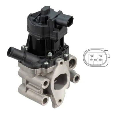 Immagine di Valvola EGR DELPHI EG10612 12B1