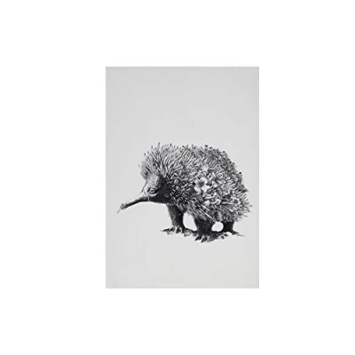 Immagine di Maxwell &amp; Williams Marini Ferlazzo Strofinaccio da Cucina 100% Cotone Indiano, Motivo Echidna, Colore Bianco, 50 x 70 cm