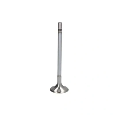 Immagine di TRW Engine Component 261126 valvola Aspirazione 28,5 stelo cromato, Terminale temprato MERCEDES BENZ: Viano, Classe E T modell