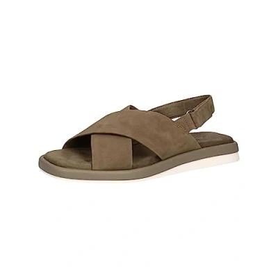 Immagine di Caprice Sandali Cactus suede, Donna, Taglia: 40, suede Scamosciato