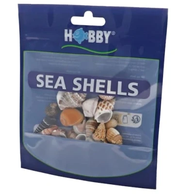 Immagine di Hobby, Set di Conchiglie Mare