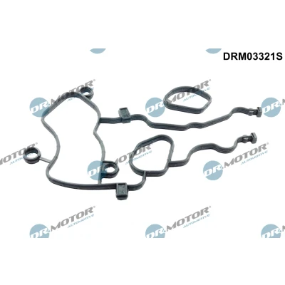 Immagine di DR.MOTOR AUTOMOTIVE DRM03321S Kit guarnizioni, Scatola guida
