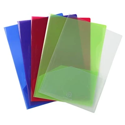Immagine di Exacompta 3960E Confezione da 10 sottocartelle doppie di presentazione, A4 A3, multicolore
