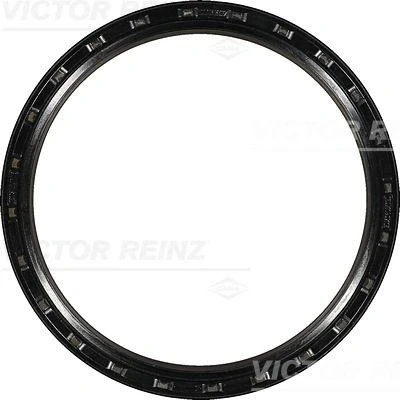 Immagine di REINZ 81 23113 30 Paraolio Albero Motore con bussola montaggio PTFE (Politetrafluoretilene), ACM (Poliacrilico Caucciù)