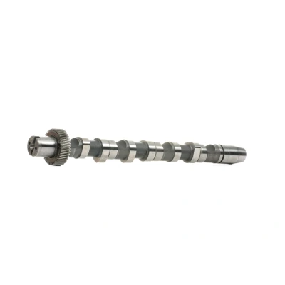 Immagine di INA 428 0156 10 Albero a Camme AUDI: A4 B6 Avant, A6 C5 Avant