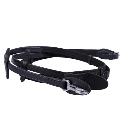 Immagine di QHP Web rein with clip
