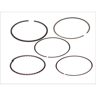 Immagine di GOETZE ENGINE 08 102300 00 Kit Fasce Elastiche 76 FORD: Fusion Station Wagon, FIESTA 4, 5