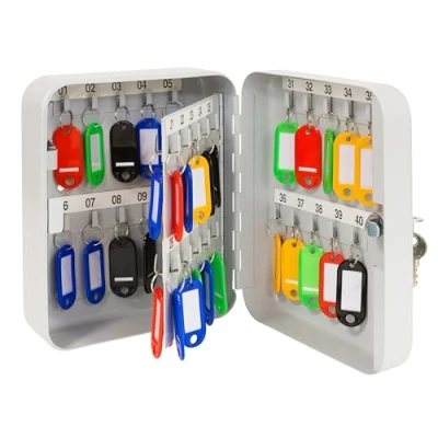 Immagine di Arregui PLL40 Cassetta Portachiavi con Ganci Fissi 40 Chiavi di Sicurezza per da Muro Appendichiavi Parete Inclusi Armadietto 20x16x8 cm grigio