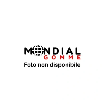 Immagine di Firemax Fm601 195/60 R16 89H