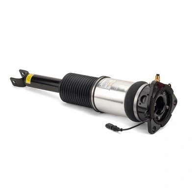 Immagine di Arnott AS 2959 Gamba elastica con ammortiz. pneumatico posteriore Sx AUDI: A8 D3