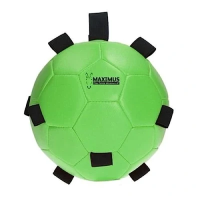 Immagine di Maximus Divertente palla da gioco blu 19 Verde