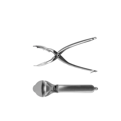 Immagine di Westmark Taglia Castagne, Con Lame Seghettate, Lunghezza: 20 cm, Acciaio Inox, Argento, 40422260