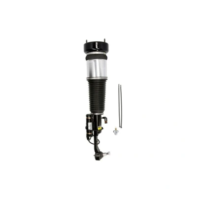 Immagine di Arnott AS 2853 Gamba elastica con ammortiz. pneumatico anteriore Sx MERCEDES BENZ: Classe S Sedan