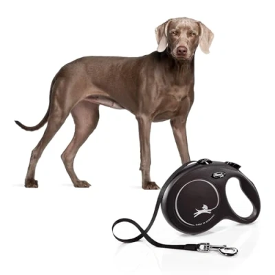 Immagine di Flexi Guinzaglio per Mulinello Classic Band 5 Metri a 50 kg Nero