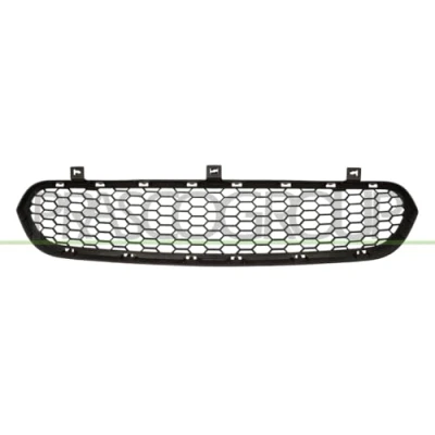 Immagine di BLIC 6502 07 0096912P Griglia Paraurti anteriore BMW: X6, X5