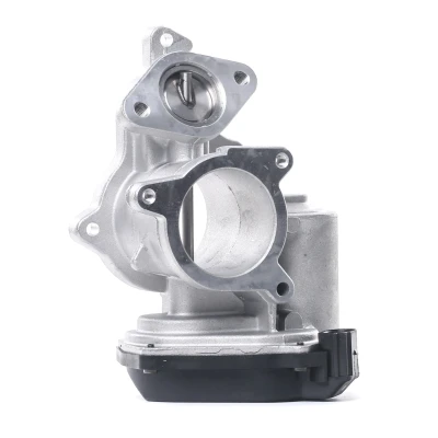 Immagine di DELPHI EG10404 12B1 Valvola EGR con guarnizioni AUDI: A4 B7 Avant, A6 C6 Sedan, Sedan mister auto, norauto, autozona