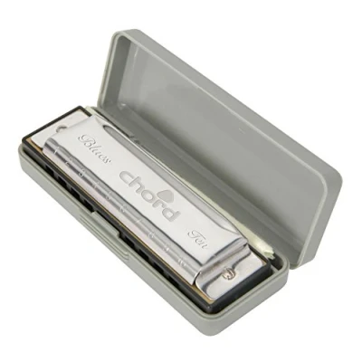 Immagine di Chord Armonica a 10 fori con custodia e panno di pulizia chiave D # (Eb)