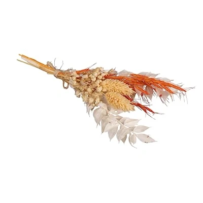 Immagine di Rayher Mazzo di fiori secchi, arancio, 18 20cm, bus.blis. 1pz, 85491210