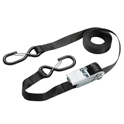 Immagine di Master Lock P50113 Cinghia di fissaggio (L x L) 5 m 25 mm Chiusura a cricchetto
