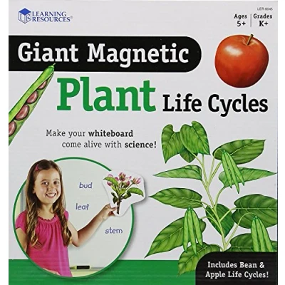 Immagine di Learning Resources Ciclo di vita una pianta magnetico gigante