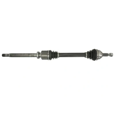 Immagine di Albero motore/Semiasse PASCAL G2R112PC