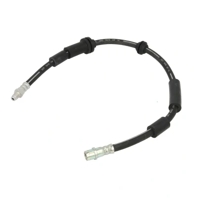 Immagine di DELPHI LH7481 Tubi Freno 680 M10x1 Int SF