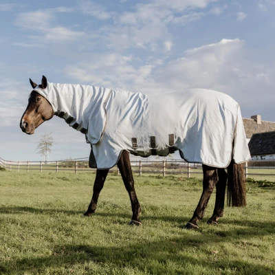 Immagine di Kentucky Sweet Itch Rug