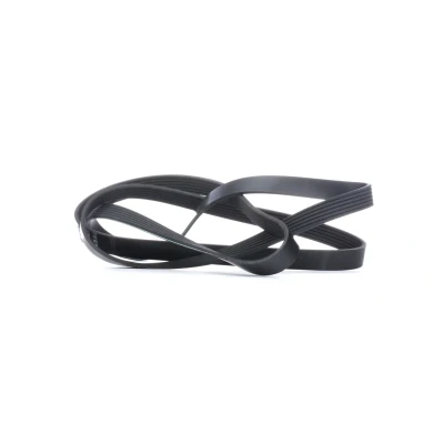 Immagine di FEBI BILSTEIN 29009 Cinghia Poly V 2155 6 EPDM (Etilene Propilene Diene Caucciù) MERCEDES BENZ: Vito Bus, Classe E Sedan, C T modell