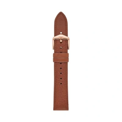 Immagine di Fossil Cinturino da Donna, Pelle o Litehide 18 mm, Castano