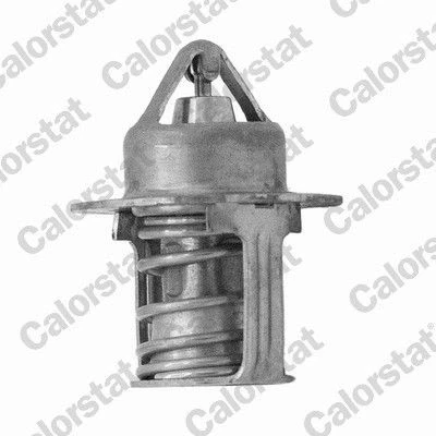 Immagine di CALORSTAT by Vernet WF0086P Termostato motore con guarnizione Alloggiamento in plastica FORD: FIESTA 5, KA Hatchback, 4