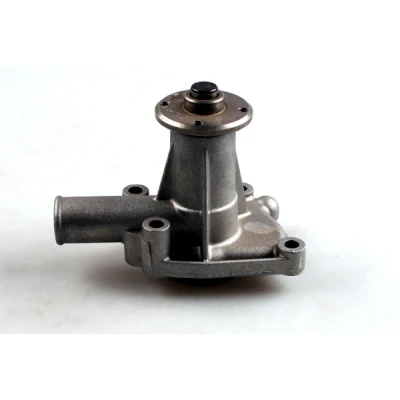 Immagine di HEPU P1024 Pompa acqua con guarnizione meccanico ROVER: Mini Hatchback