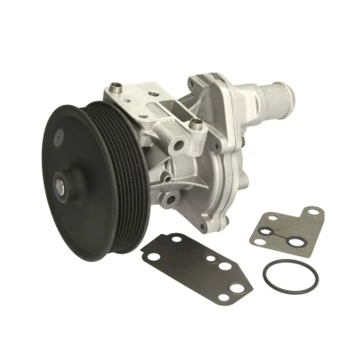Immagine di HEPU P248 Pompa acqua con puleggia cinghia Poly V incl. Kit guarnizioni meccanico 131 alloggiamento in due pezzi,