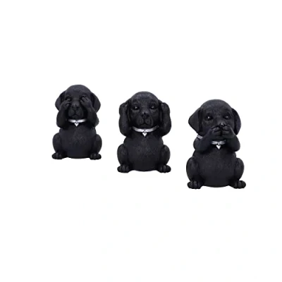Immagine di Nemesis Now Three Wise Labrador, nero, 8,5 cm, B5881V2