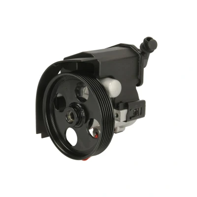 Immagine di LAUBER 55.0529 Pompa Idroguida idraulico 100 6 125 CITROËN: Xsara Picasso, Berlingo / First I, I Van mister auto,