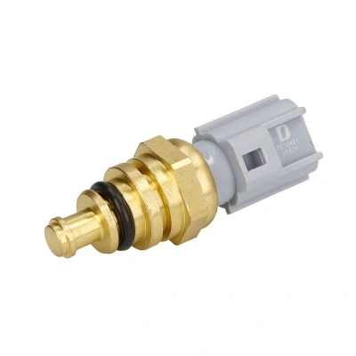 Immagine di DELPHI TS10481 Sensore Temperatura Refrigerante