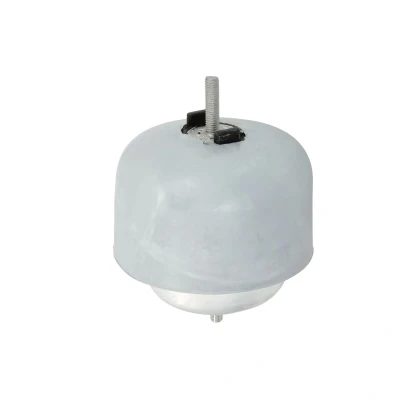 Immagine di REINHOCH RH11 0119 Supporto motore Dx AUDI: A4 B6 Avant, B6/B7 Cabrio, Sedan, VOLKSWAGEN: Passat B5 GP Variant