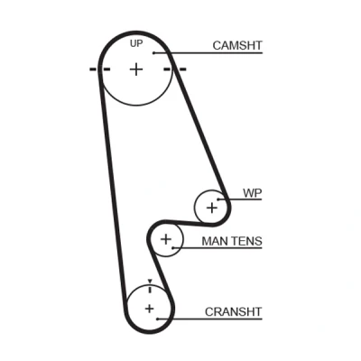 Immagine di GATES T244RB Cinghia Distribuzione 112 1067 24 Fibra ottica, HNBR (Nitrile Butadiene Caucciù acrilico idratato)