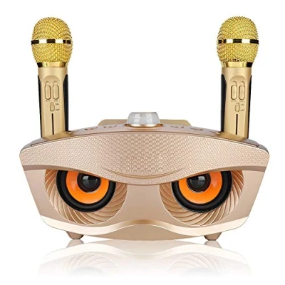 Immagine di Mini Impianto Karaoke Portatile Per Home/Feste/Riunioni d&#039;Ufficio (Bluetooth 4.2, Scheda TF, AUX, FM, Disco U, 2 Microfoni a Condensatore Palmare Punto Singolo, Batteria Ricaricabile)
