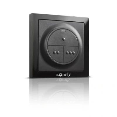 Immagine di Somfy 1871131 Radiocomando da parete io Per comandare il motore e/o l&#039;illuminazione di un garage o cancello, nero
