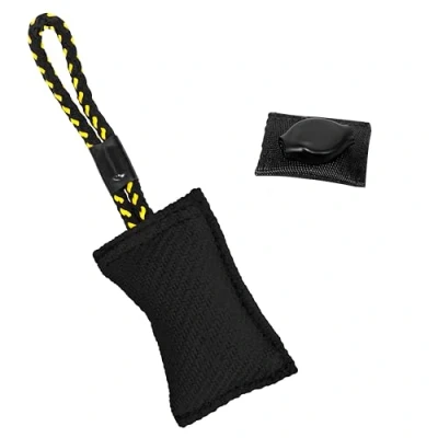 Immagine di DINGO GEAR WWW.DINGOGEAR.COM 1977 Punto di Accesso Wireless Zyxel Cloud Ibrido